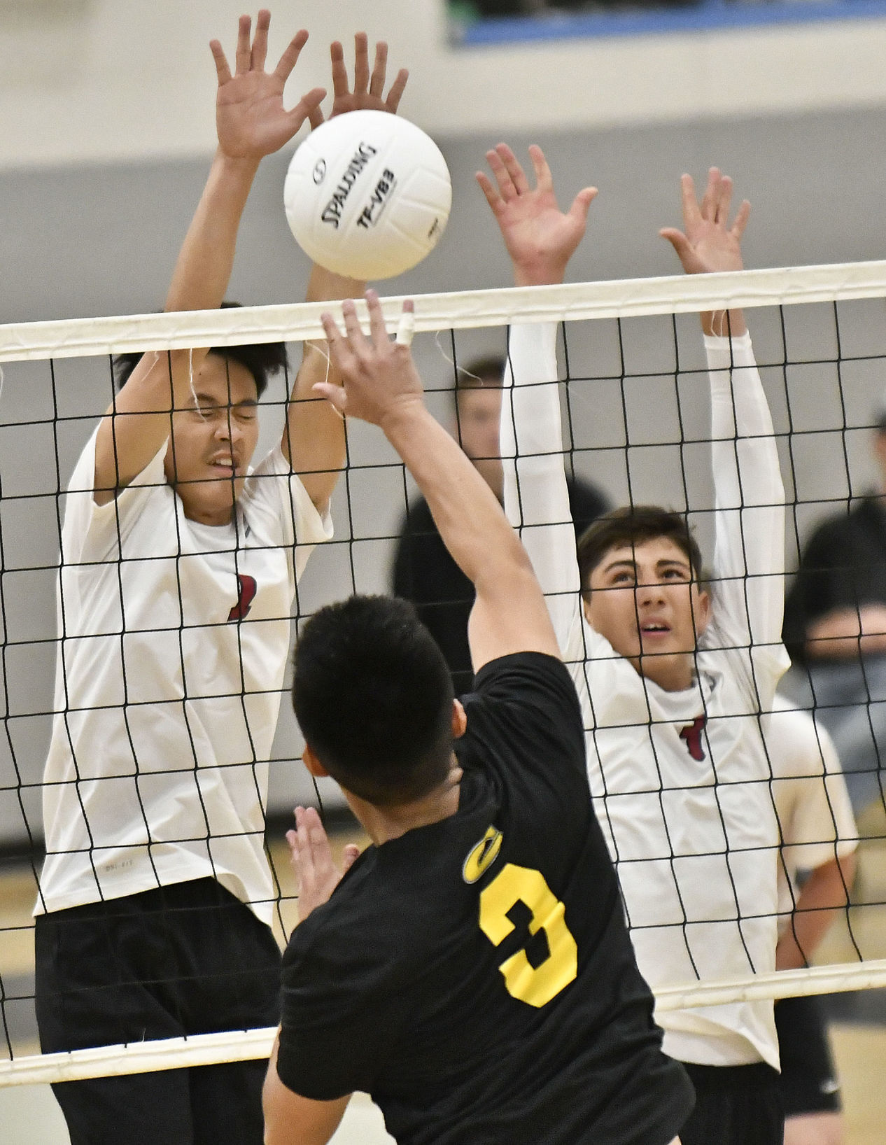 031318 CHS NHS volleyball 04.jpg